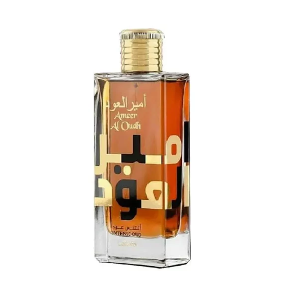 Ameer Al Oudh